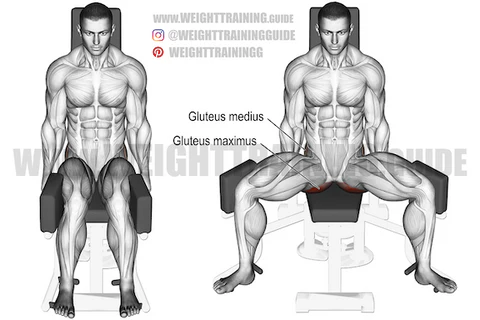 تمرين فتح الحوض (Glute Side Abduction)